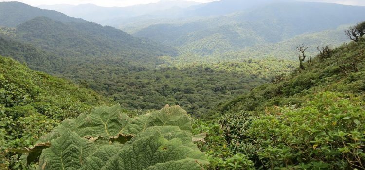 Quelle est la particularité d'un circuit touristique au Costa Rica ?