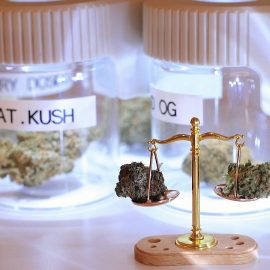 Quels sont les avantages du CBD produit en France ?