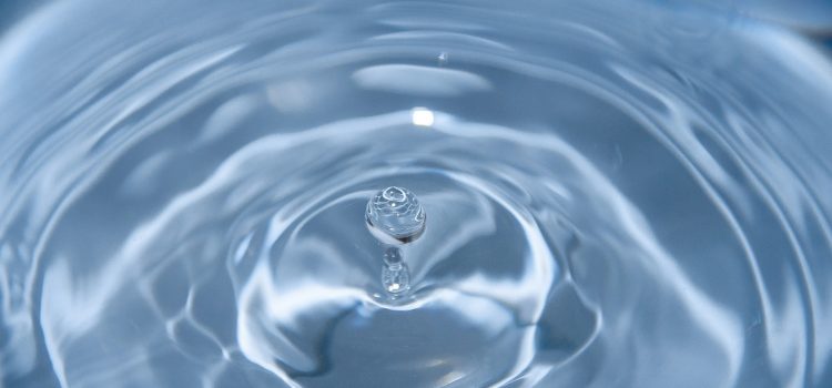  Optimisez votre rendement agricole en louant une pompe à eau chargée !