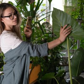 L’intérêt de suivre un blog jardin pour des astuces au quotidien
