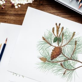 École de dessin à Toulouse : développez vos talents, même pour Noël ! École de dessin à Toulouse : développez vos talents, même pour Noël !