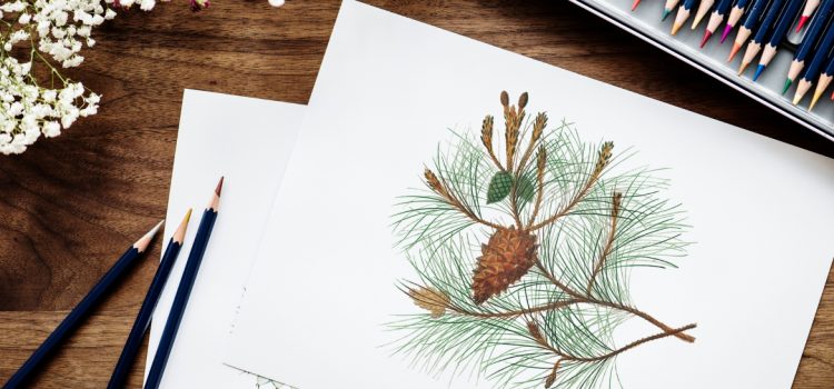 École de dessin à Toulouse : développez vos talents, même pour Noël !